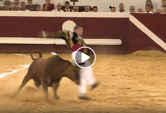 DAX (14-08-2019) Le résumé vidéo du concours