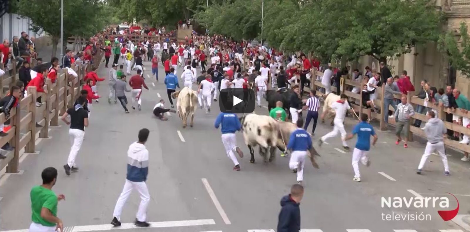 VIDEO // Encierro del Pilon de Falces et TAFALLA // Retour en vidéo sur les encierros du week end