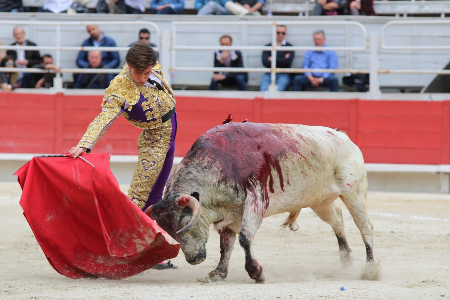 TIBO GARCIA, 67eme matador de toros français