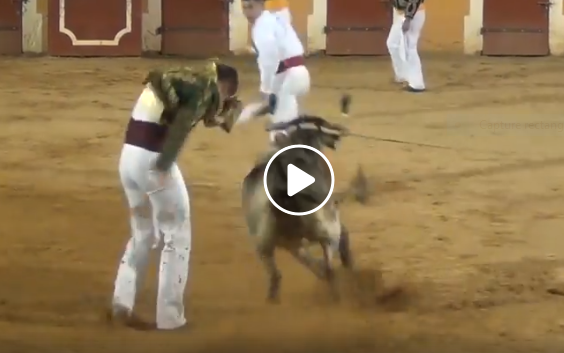 MUGRON ET MAURIN (15-08-2019) Le résumé vidéo des deux courses