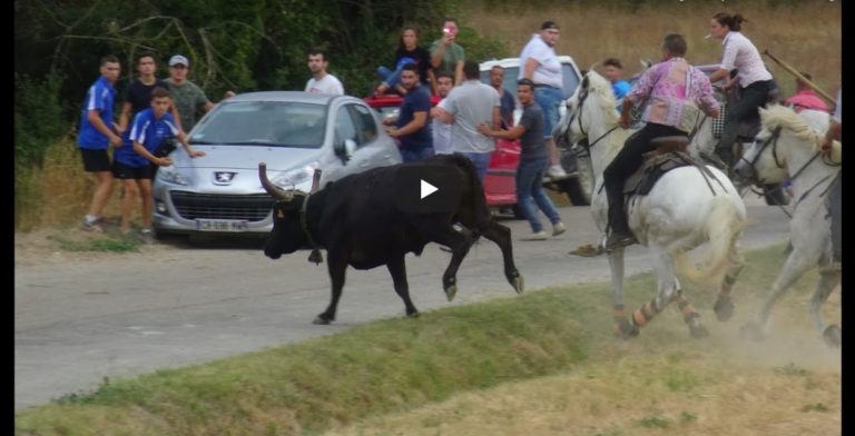 MONTAGNAC (30/08/2019) – Retour en vidéo sur le FESTIVAL DE BANDIDO PARCOURS OUVERT