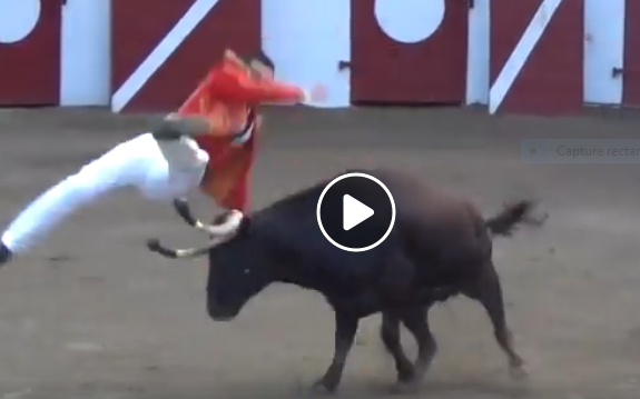 POMAREZ et ESTANG (15 et 17-08-2019) Le résumé video des deux courses