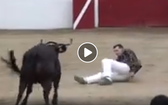 POMAREZ (11-08-2019) Le résumé vidéo de la course