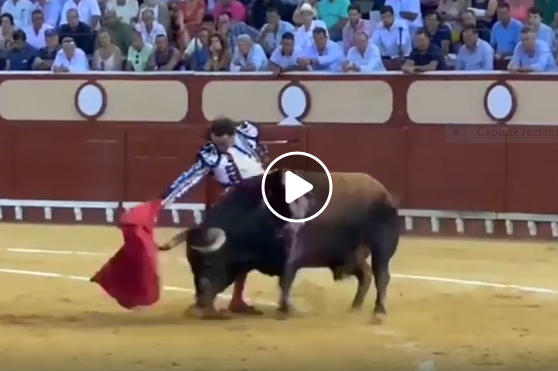 VIDEO // Un retour triomphal pour ENRIQUE PONCE au Puerto de Santa Maria