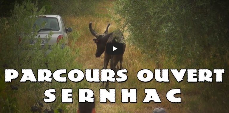 SERNHAC (10 et 11/08/2019) – Retour en vidéo sur la Bandido Parcours Ouvert