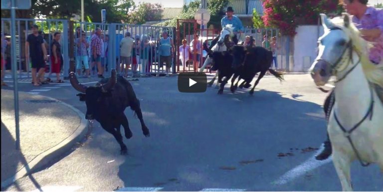 VESTRIC (03 et 04/08/2019) – Retour en video – BANDIDO, 20 TAUREAUX, FESTIVAL DE BANDIDO