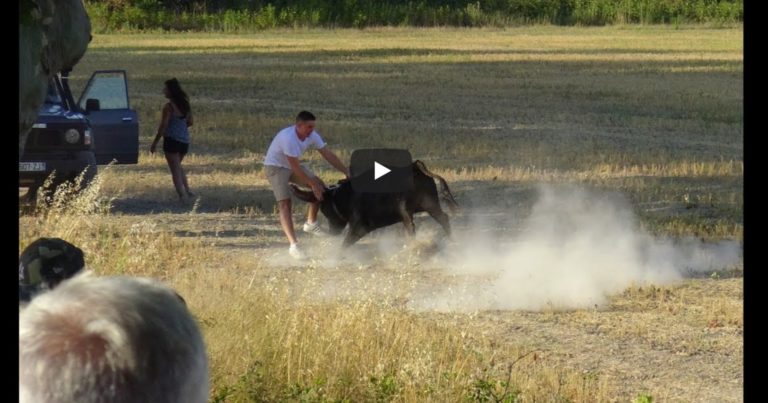 VESTRIC (31/07/2019 et 01/08/2019) – Retour en vidéo sur la course et bandido