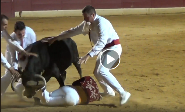 VIEUX BOUCAU (24-08-2019) Le résumé vidéo de la course