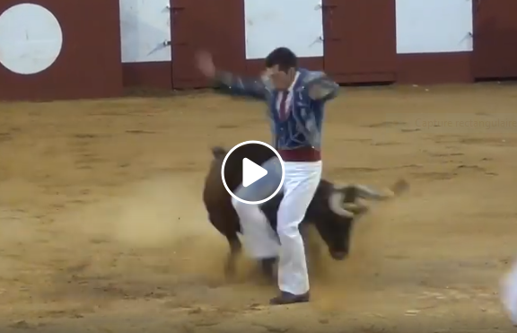 TILH ET VILLENEUVE DE MARSAN (03 et 05-08-2019) Le résumé vidéo des deux courses