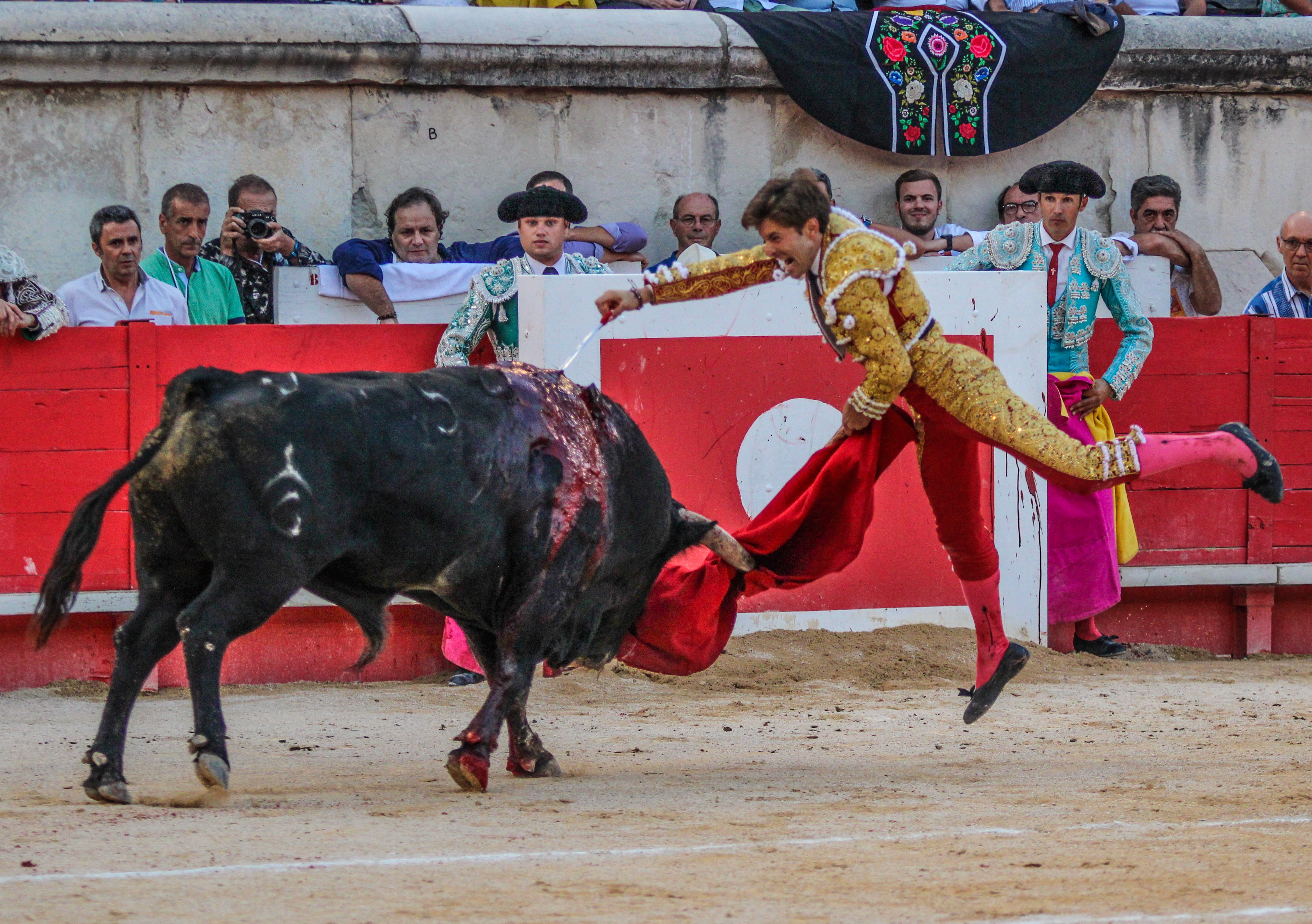 JUAN LEAL … L’envol.