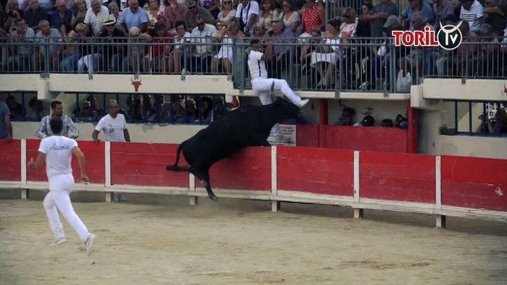 Le Clip Vidéo COURSE CAMARGUAISE de la semaine n°1