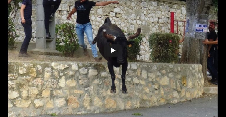 MONTPEZAT (14/09/2019) – Retour en vidéo sur le FESTIVAL D’ABRIVADO BANDIDO + ENCIERRO