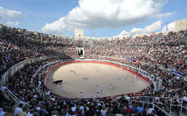 Les taureaux des FINALES : AS, AVENIR, HONNEUR et LIGUES – Voici les affiches