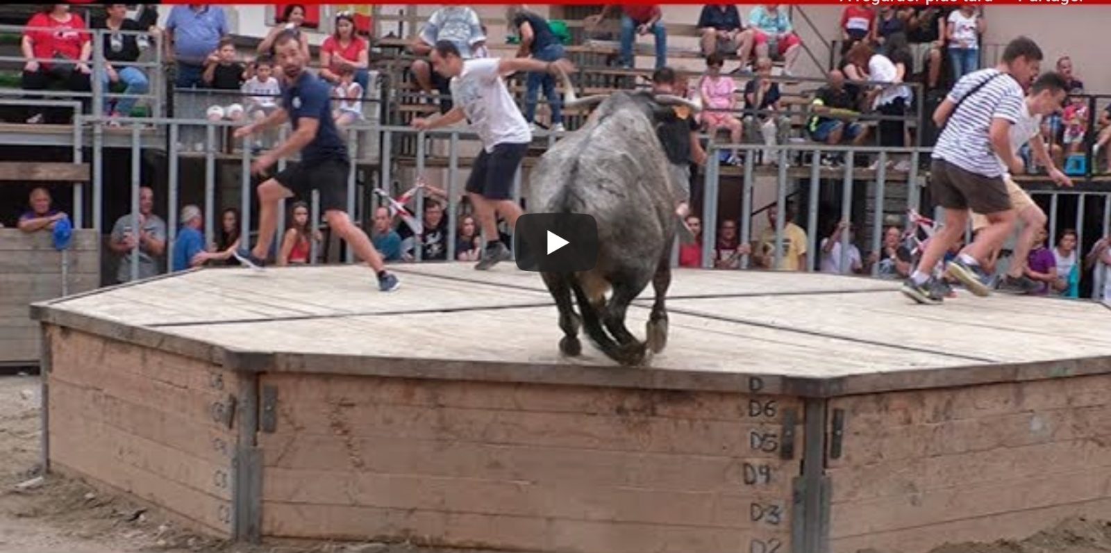 ‘CANOSA’, LA ÚLTIMA VACA DE LA GANADERÍA EL QUESITO – ALGIMIA DE ALMONACID 30/08/2019