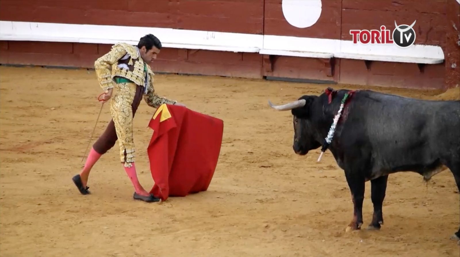 DAX (07/09/2019) – Le résumé vidéo du seul contre six d’Emilio de Justo