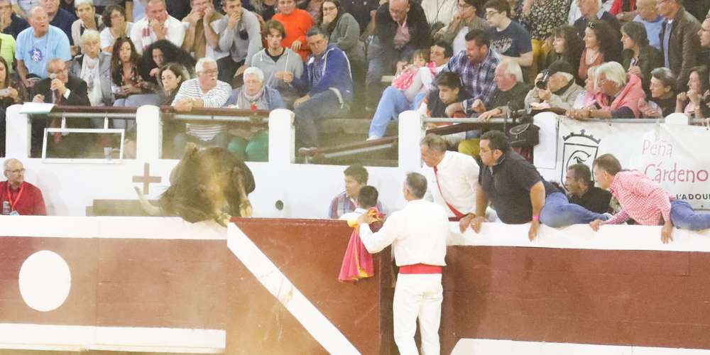 Un Chirurgien Blessé Lors De La Nuit Du Toro à Dax Toril - 