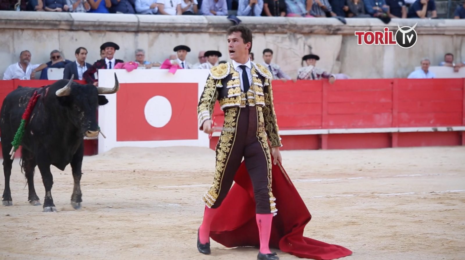 Fin de collaboration pour Daniel Luque et la famille Piles
