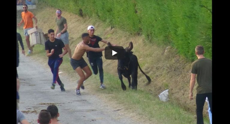 MAS THIBERT (31/08/2019) – Retour en vidéo sur la COURSE AU PLAN + FESTIVAL DE BANDIDO