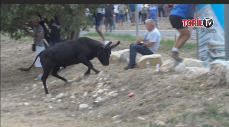 MONTAGNAC (30/08 et 01/09/2019) – Retour en vidéo sur les bandidos dans les champs