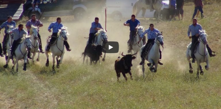 MONTMIRAT (08/09/2019) – Retour en vidéo sur le FESTIVAL D’ABRIVADO PARCOURS OUVERT