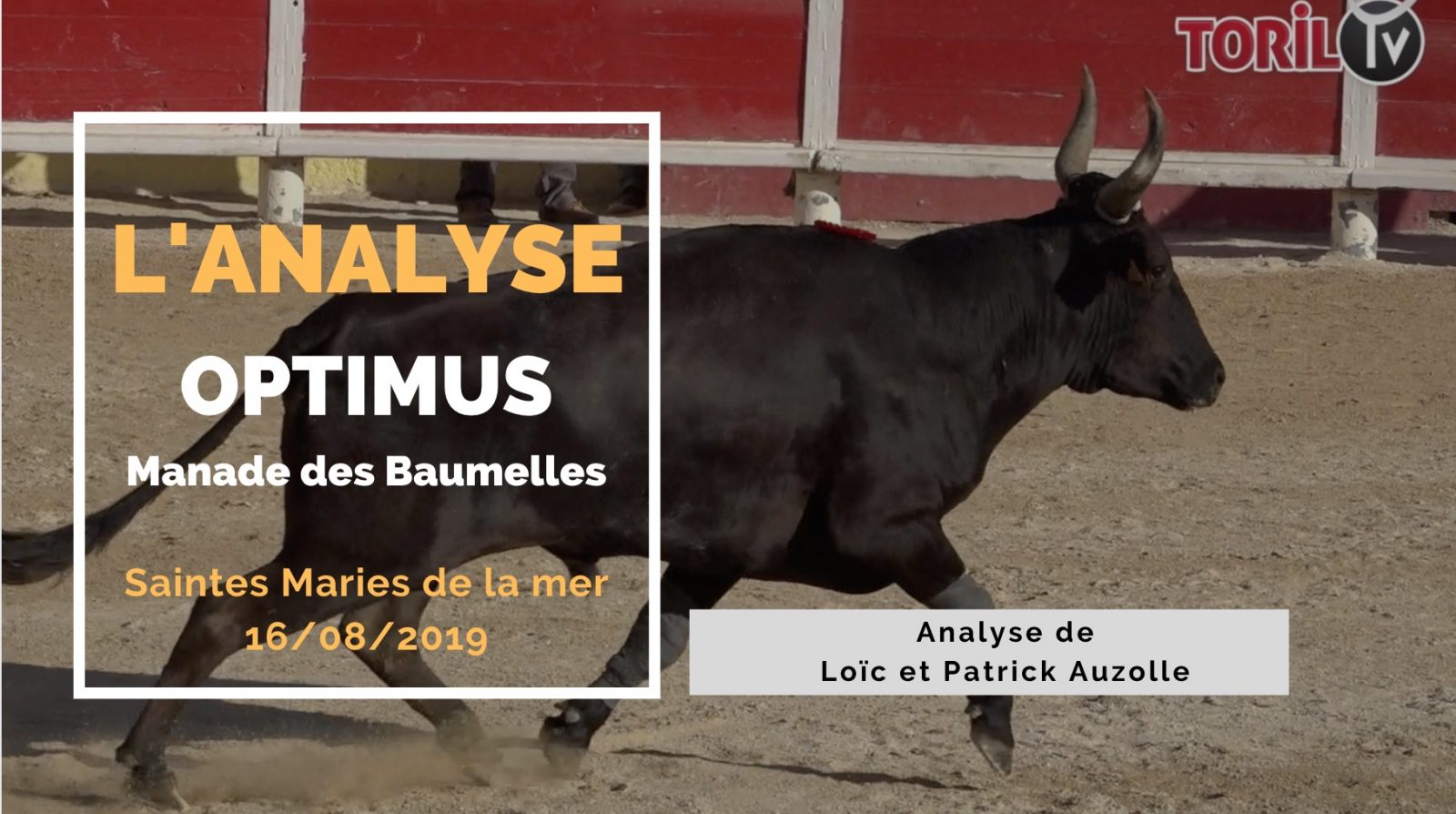 L’ANALYSE : Optimus (Baumelles) – Saintes Maries de la Mer (16/08/2019)