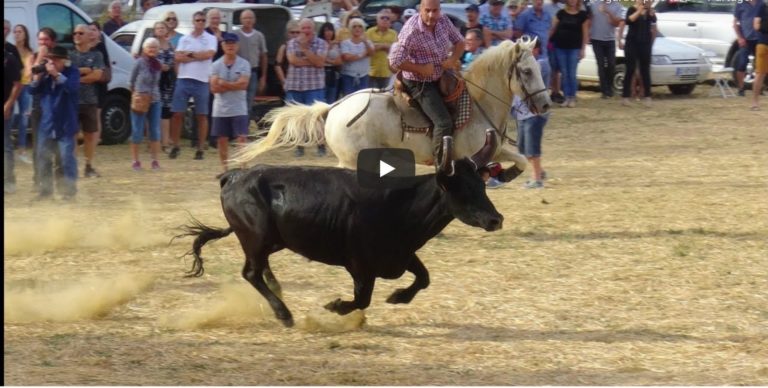 ST BAUZELY (07/09/2019) – Retour en video sur le FESTIVAL DE BANDIDO PARCOURS OUVERT