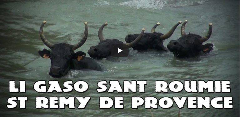 ST REMY DE PROVENCE (21/09/2019) – Retour en vidéo sur la Gase et abrivado longue
