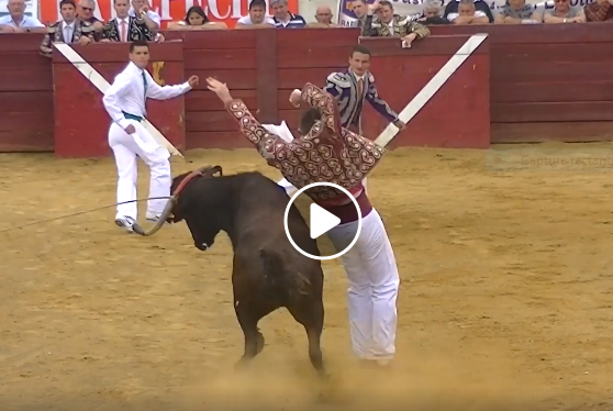 TOUJOUSE (01-09-2019) Le résumé vidéo de la course.