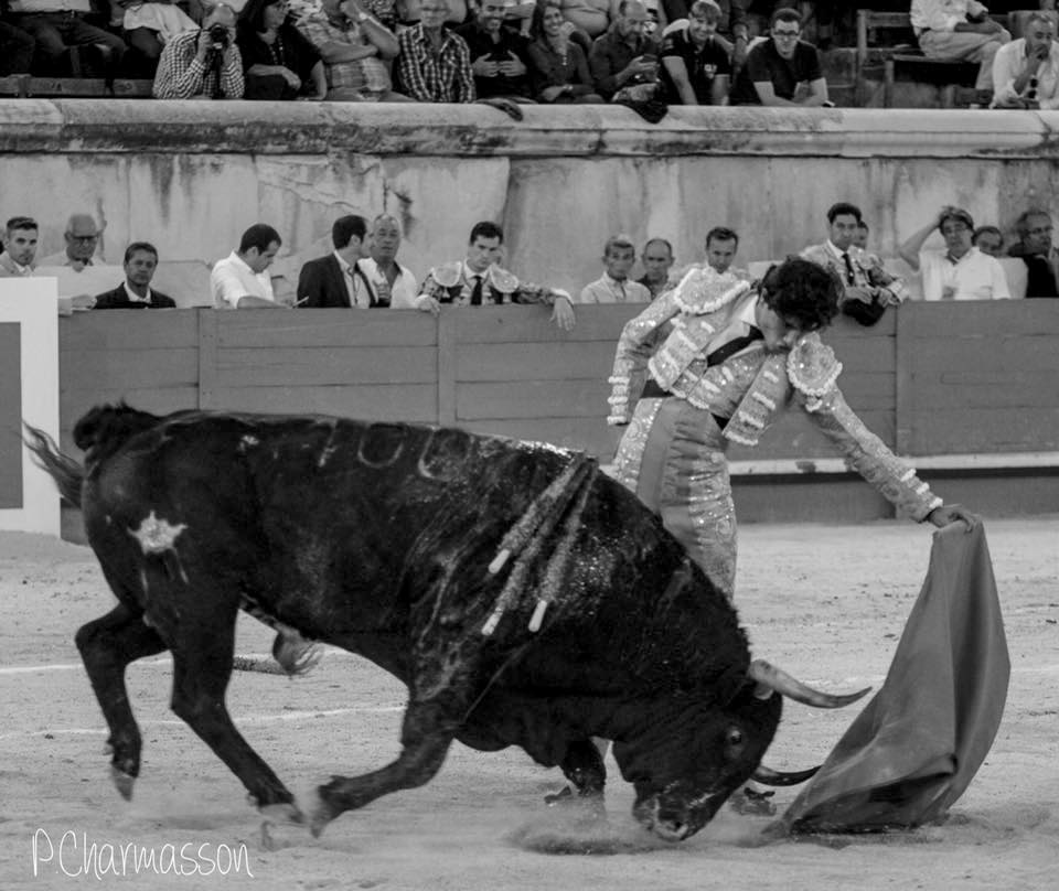 LA CORRIDA LONG FORMAT – Faenas de LUIS DAVID ADAME – NIMES (13/09/2019)