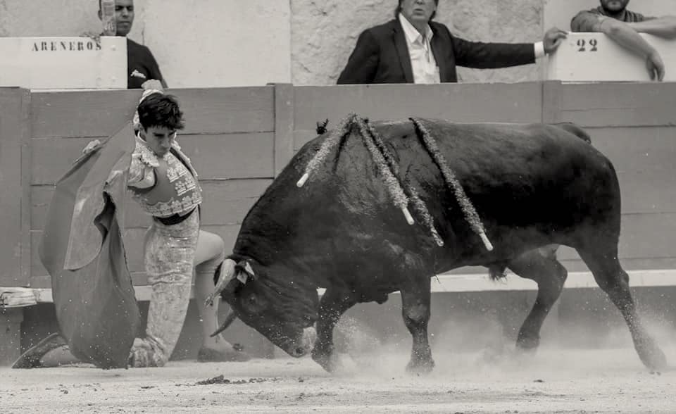 LA CORRIDA LONG FORMAT – Faenas complètes de SOLALITO – NIMES (14/09/2019)