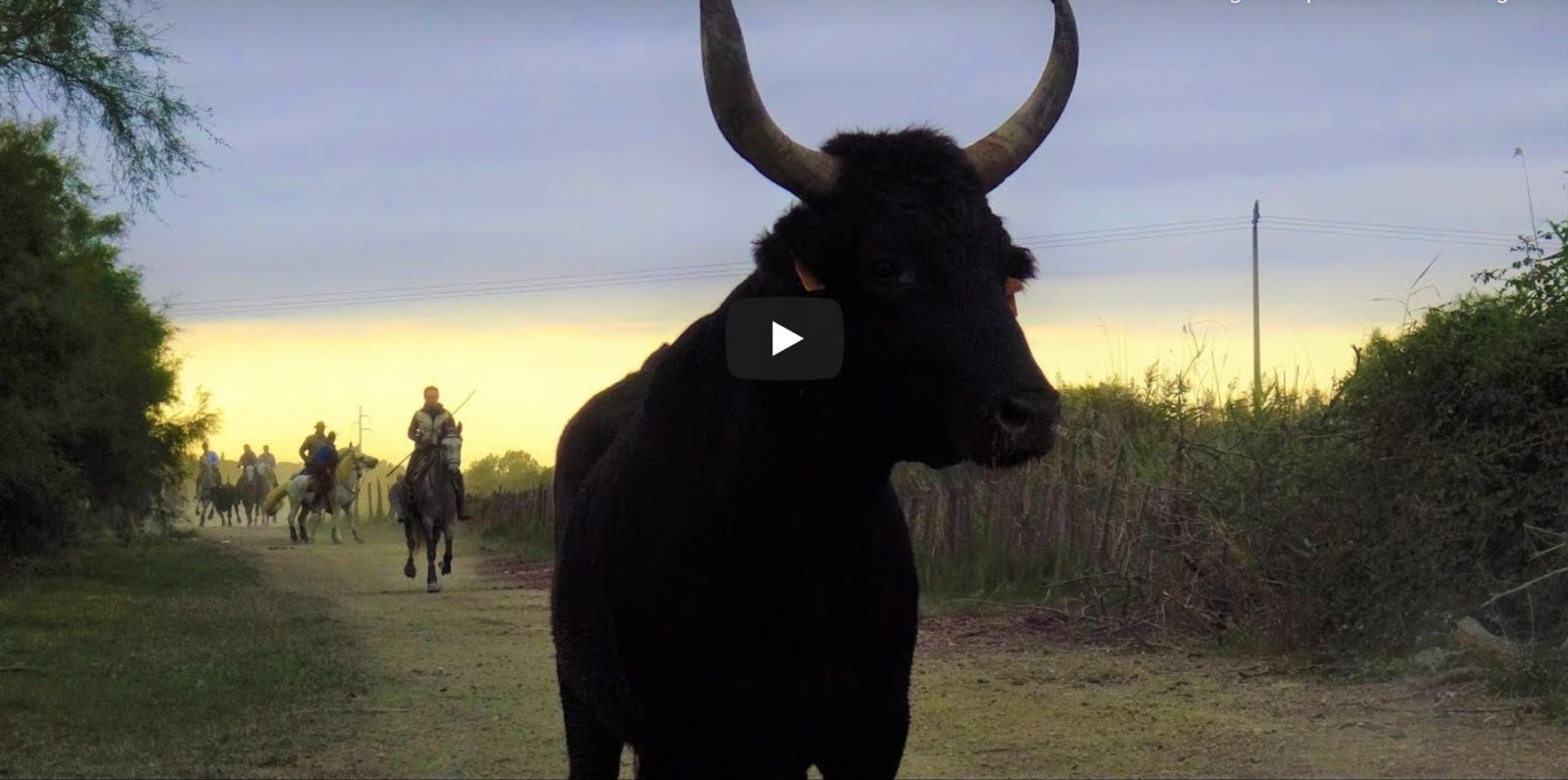 AIGUES MORTES (11/10/2019) – Retour en vidéo sur la BANDIDO AU MARAIS