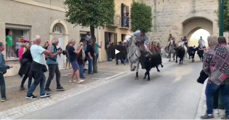 AIGUES MORTES (05 et 06/10/2019) – Le meilleur des vidéos du net du 1er week end de la Fête d’Aigues Mortes