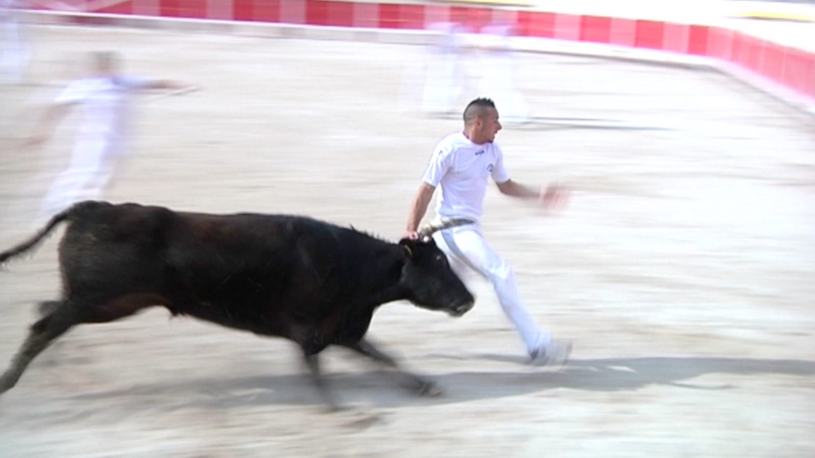 VIDEO // CLIP n°2 // Dans l’arène avec les noirs et blancs
