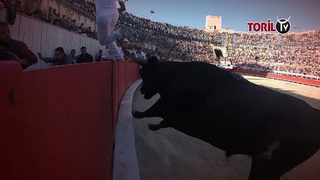 VIDEO // CLIP VIDEO // Le Clip de la Finale du Trophée des AS 2019