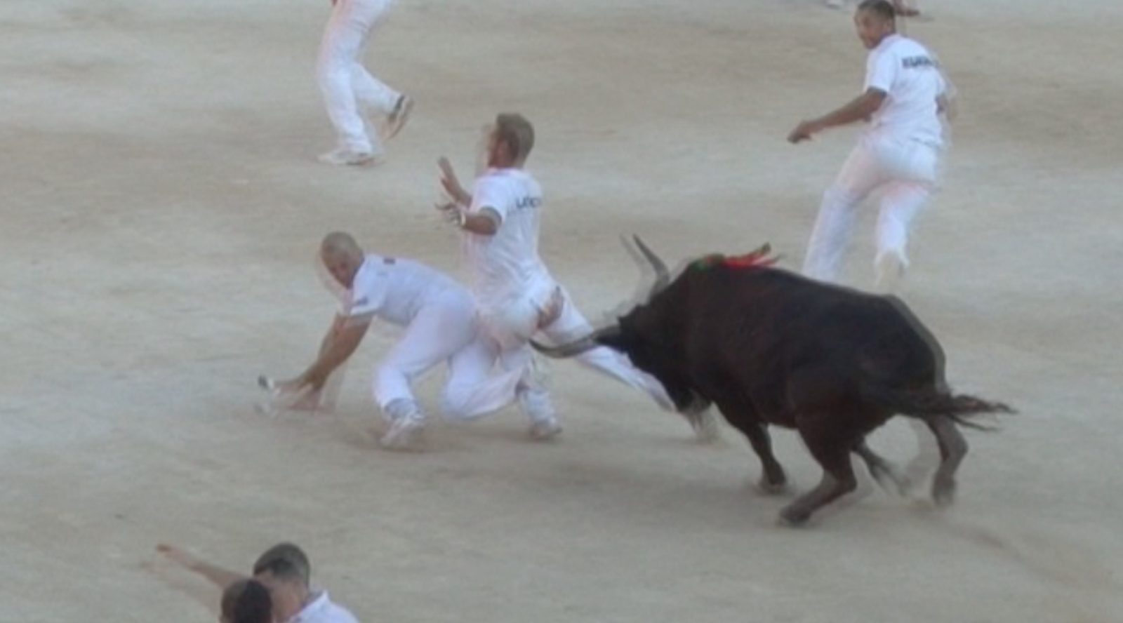 VIDEO // CLIP n°1 // Dans l’arène avec les noirs et blancs