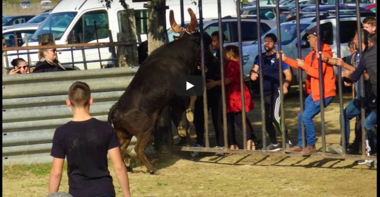 CODOGNAN (27/10/2019) – Retour en video sur la JOURNEE EN PAYS CHEZ ROBERT H