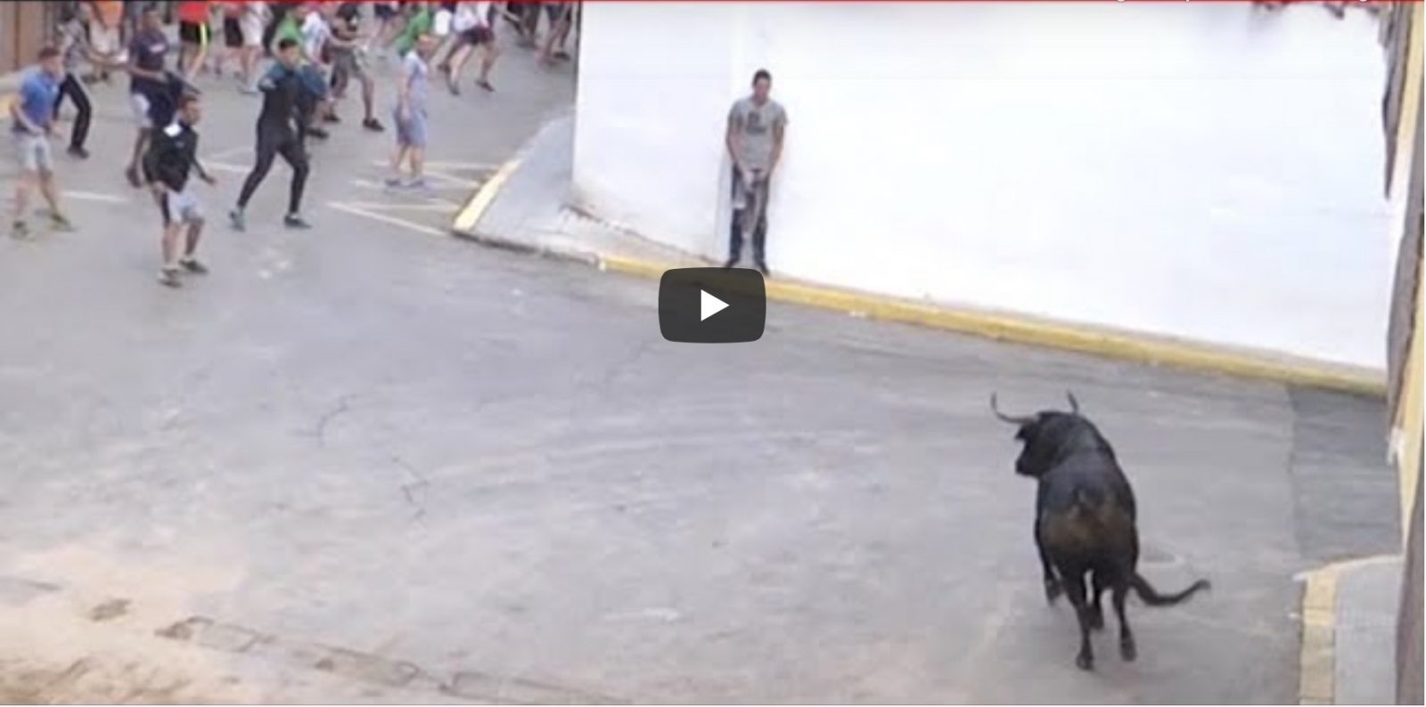 Toros en las FIESTAS PATRONALES de LA SAGRADA FAMILIA de La Vall d´Uixó