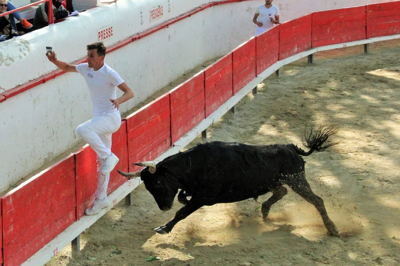 Présentation des taureaux de la finale du Trophée de l’Avenir Partie 2
