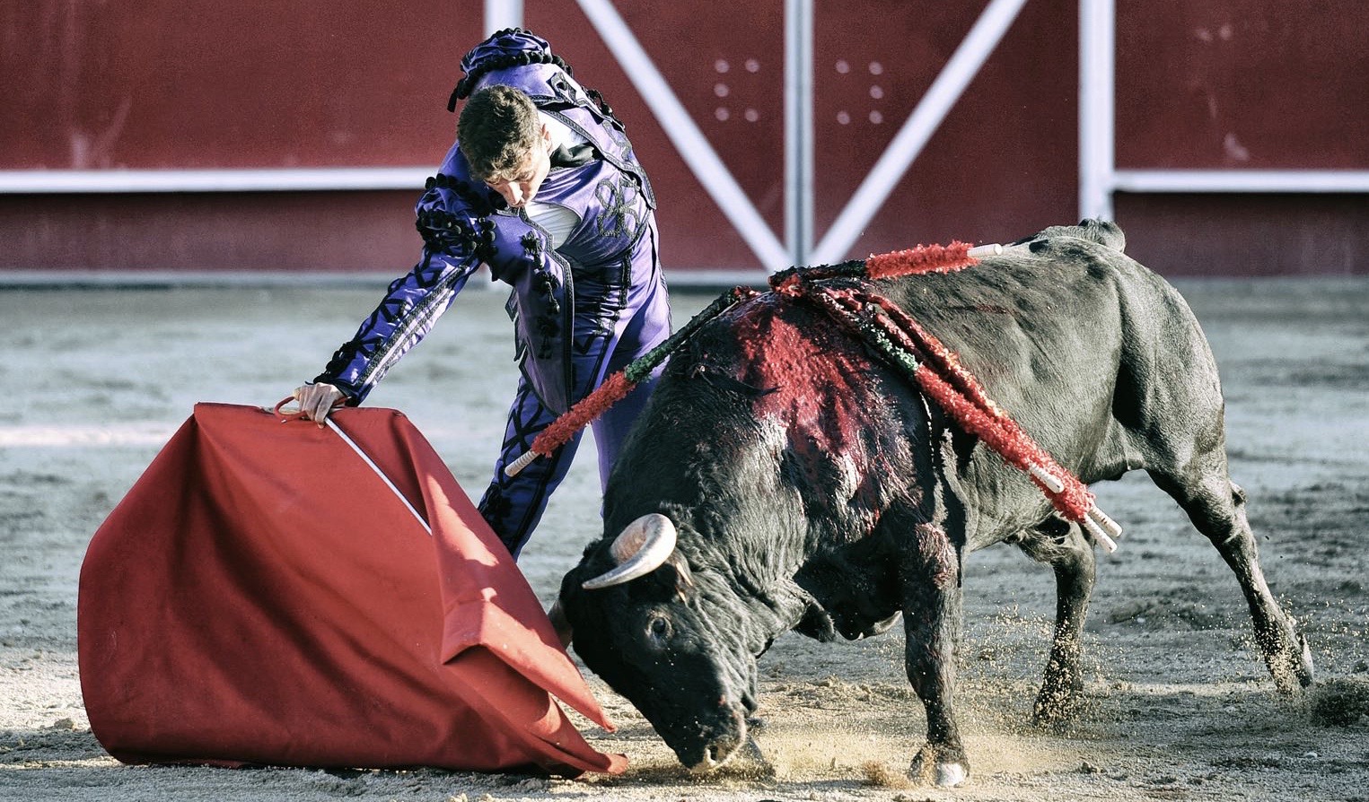 Boujan sur Libron : la corrida de la Féria des Vendanges invite les mineurs