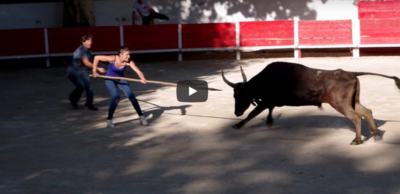 VIDEO DU NET // Attente au fer au féminin Manade Lautier