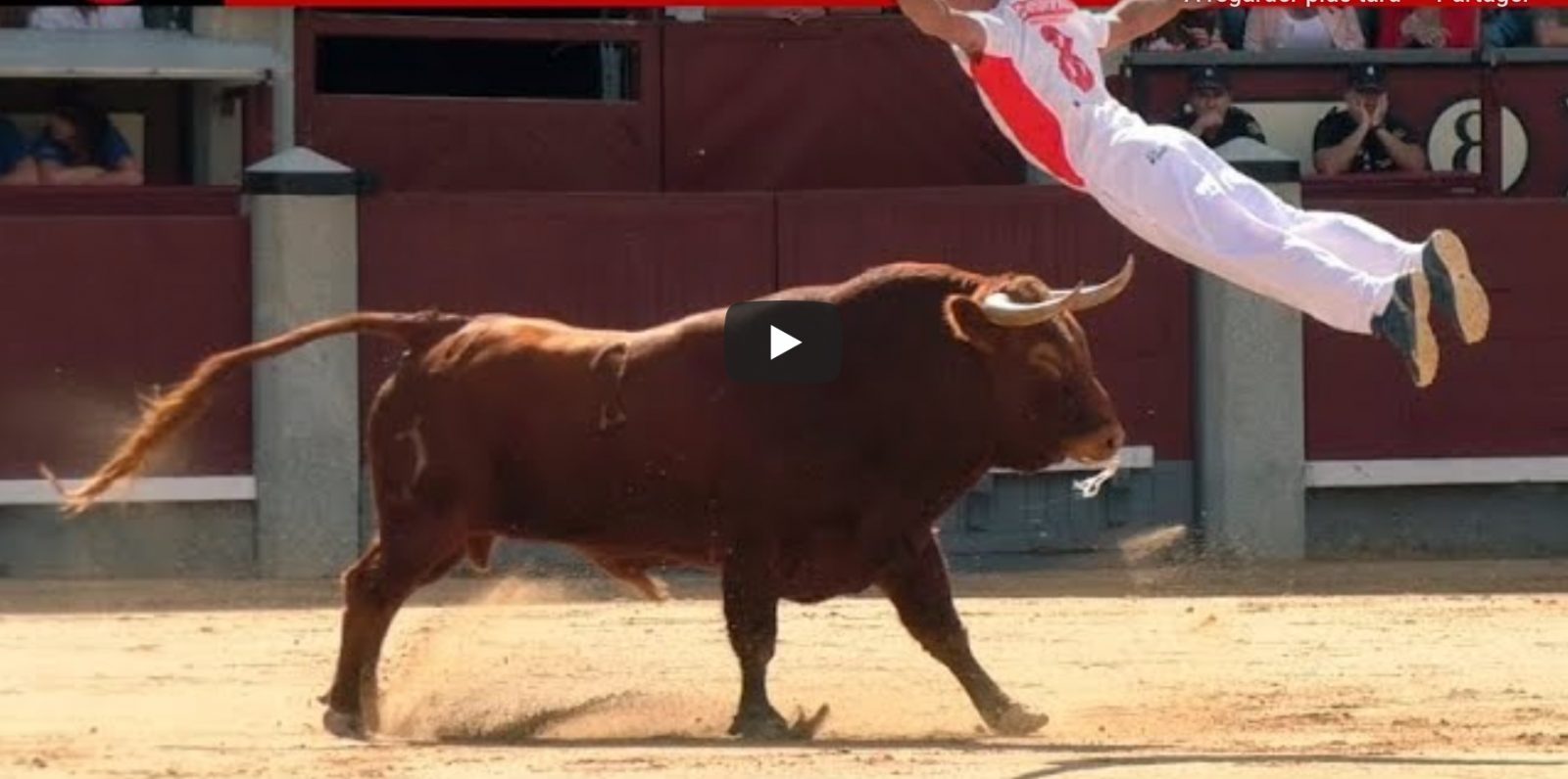 FINAL DEL CAMPEONATO DE ESPAÑA DE RECORTADORES CON TOROS 2019 – MADRID