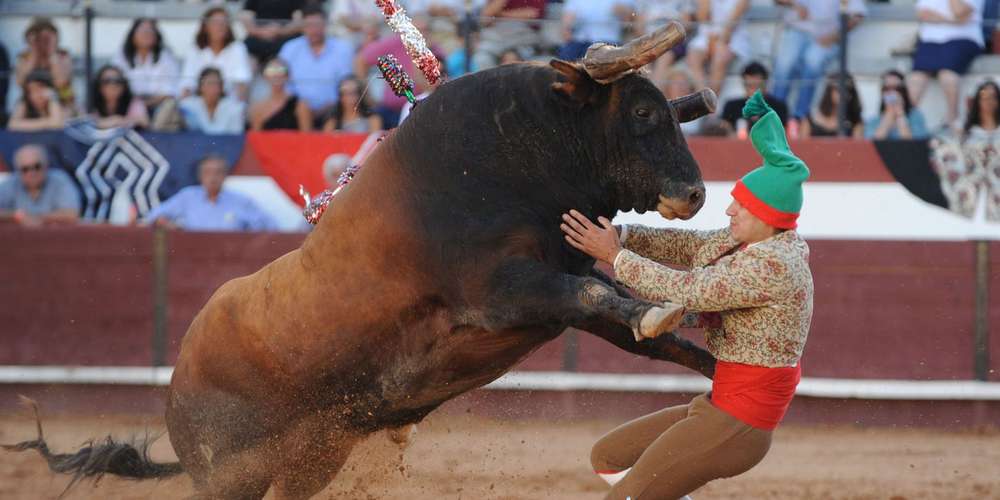 Portugal, les toros comme liberté fondamentale.