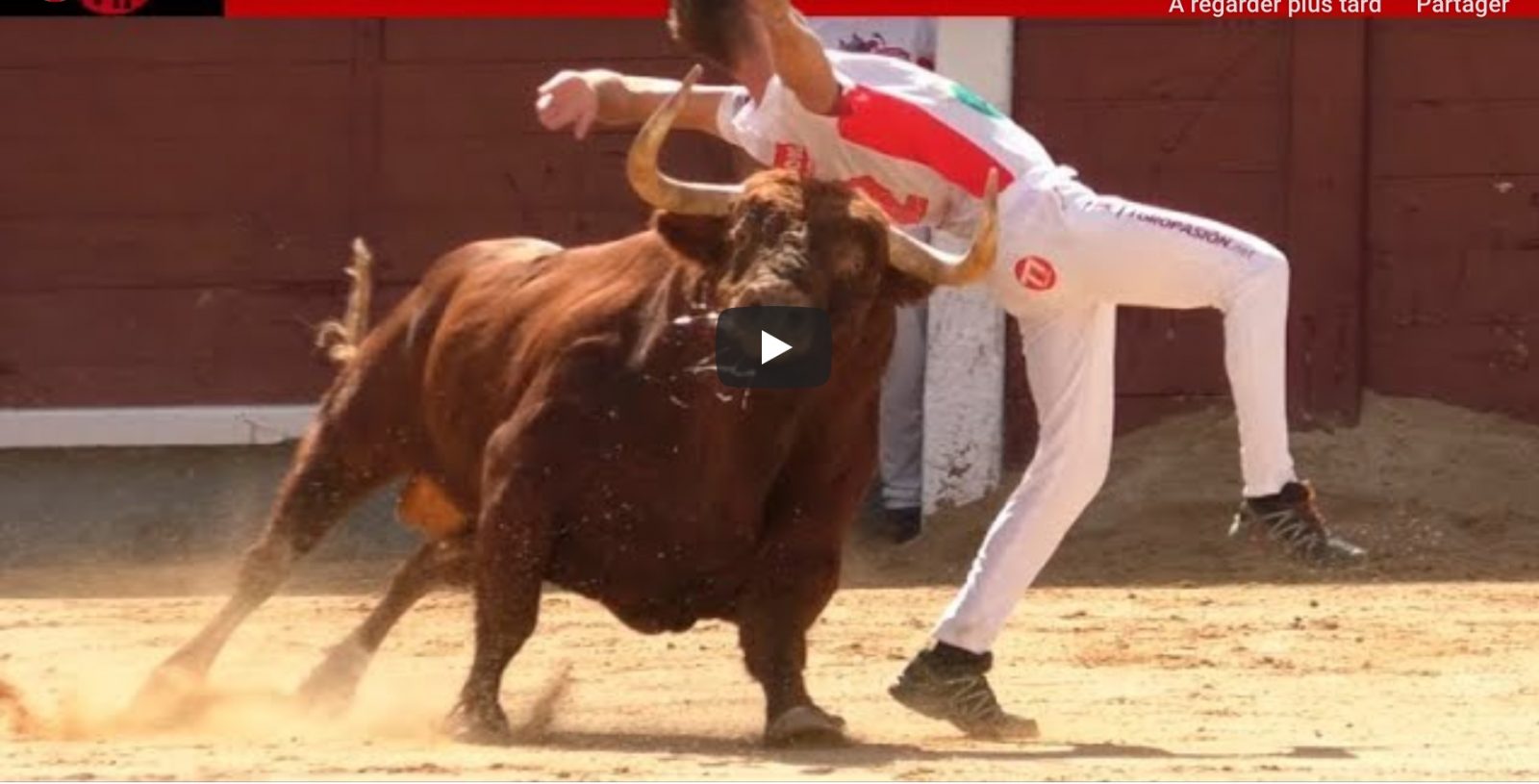 FINAL DEL CAMPEONATO DE ESPAÑA DE RECORTADORES CON TOROS 2019 – MADRID (Semifinales y Final)
