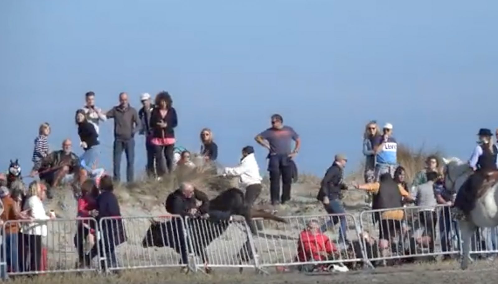 VIDEO // Panique dans le public et escape en mer pour le Concours de Ferrade ce matin aux Saintes Maries de la Mer (30/10/2019)