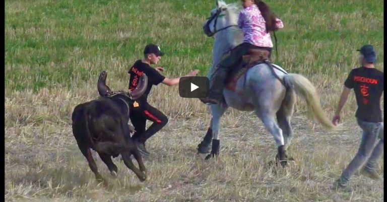 ST HIPPOLYTE DE CATON (05/10/2019) – Retour en vidéo sur le FESTIVAL DE BANDIDO PARCOURS OUVERT
