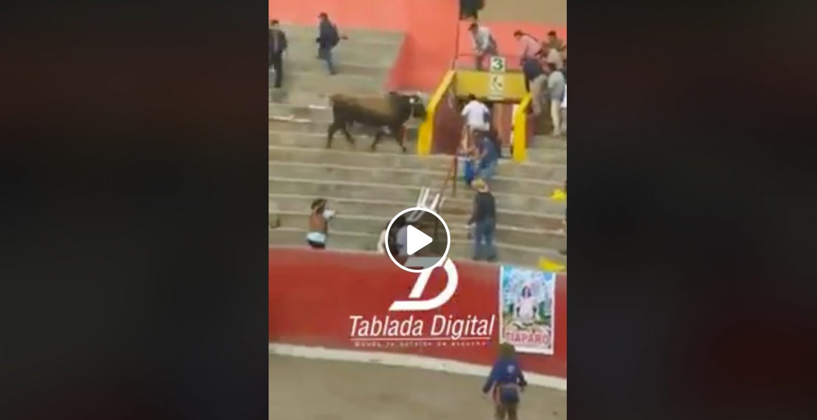 VIDEO DU NET // Un toro saute dans les gradins et blesse grièvement une femme