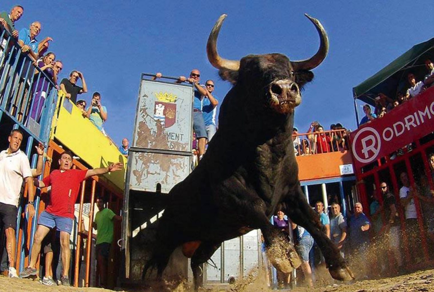 5 cornadas mortelles, 285 blessés et 7600 fêtes taurines pour le “bous al carrer”