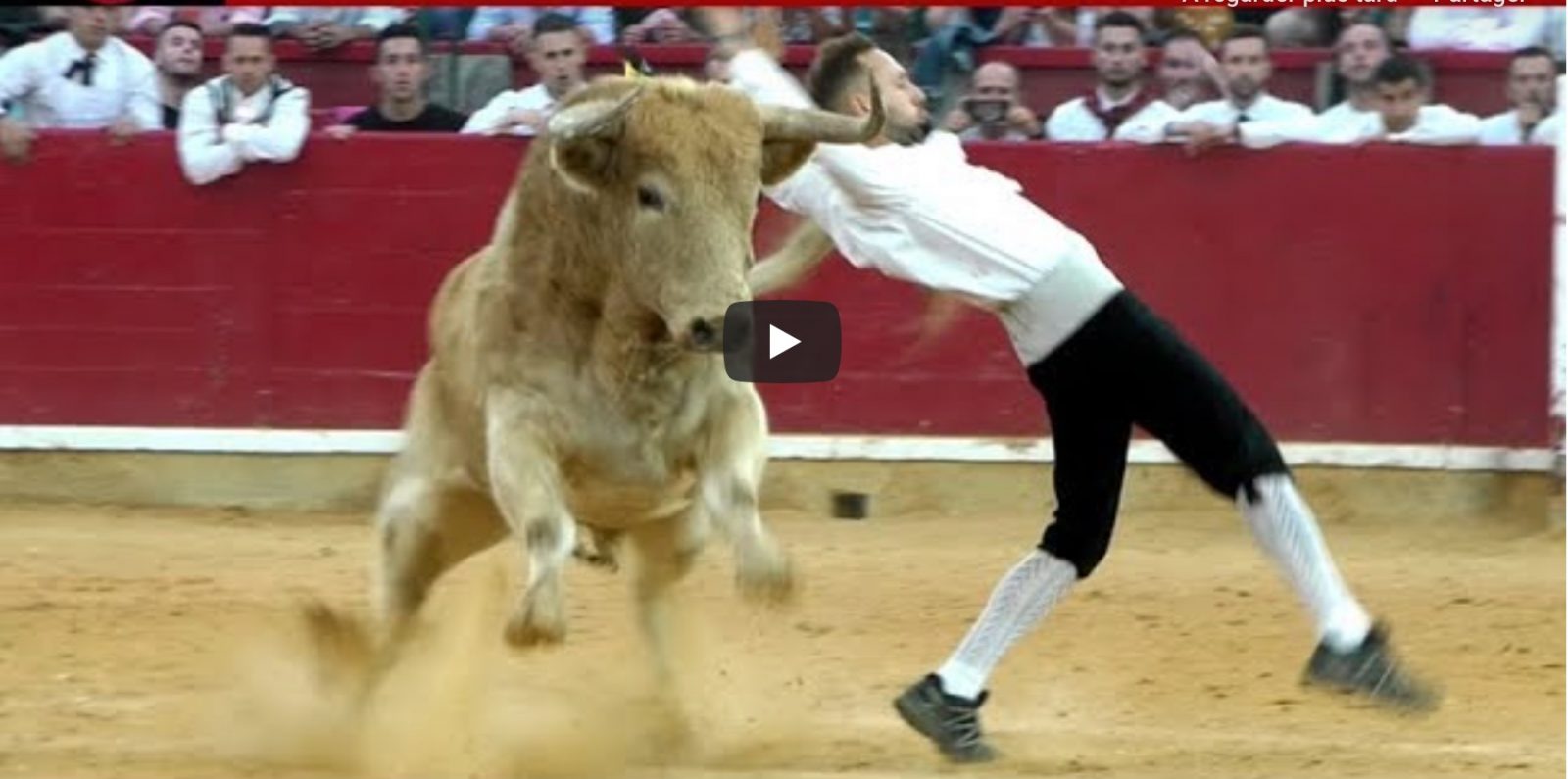 VIDEO // 🏆 ZARAGOZA – TROFEO FERIA DEL PILAR 2019