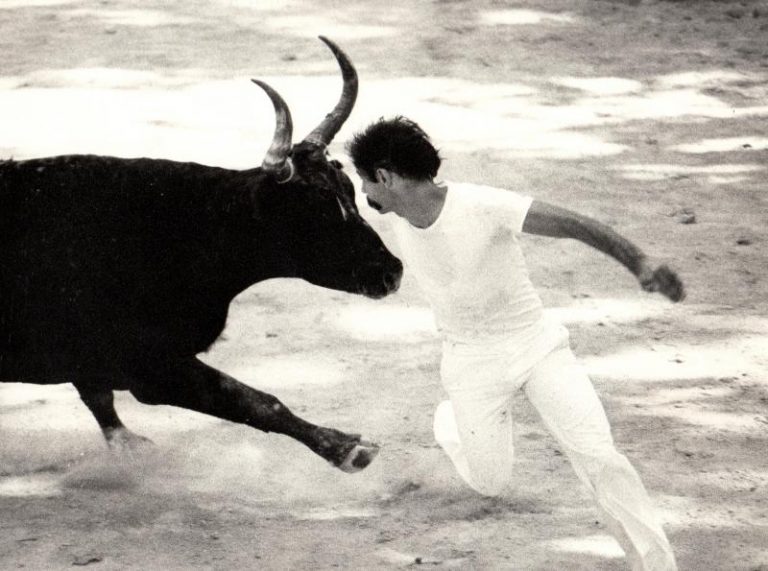 CASTRO légende de la Course Camarguaise