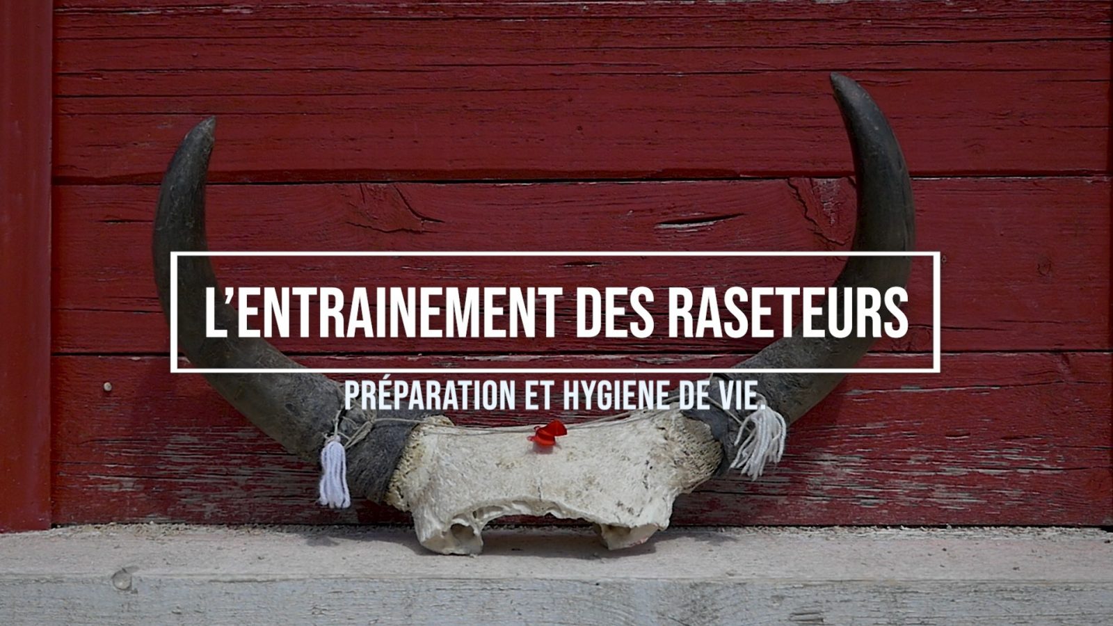 VIDEO // L’entraînement des raseteurs, préparation et hygiène de vie